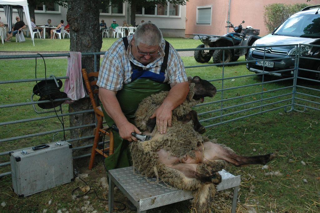 19. Grenzlandfest - 2019 in Kapsweyer